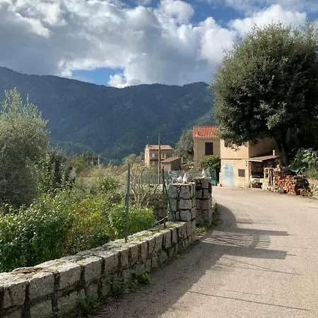 Maison Poggiolo Дом отдыха Poggiolo (Corsica)